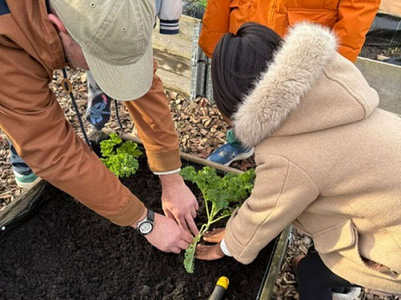 De moestuin is ingezaaid